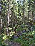 ...bringt uns zu einem Waldstück