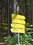 Hier biegen wir links Richtung Bucheralm ab