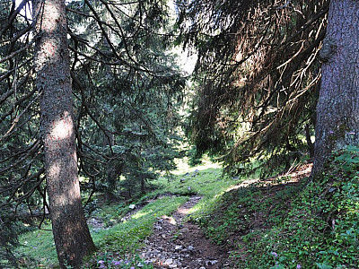 Den Weg folgen wir zu weit...