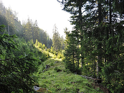 Etwas weiter oben biegen wir westlich...