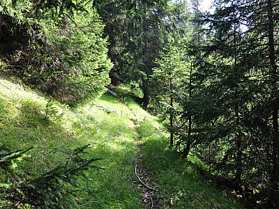 kommen aber viel zu weit westlich aus dem Wald
