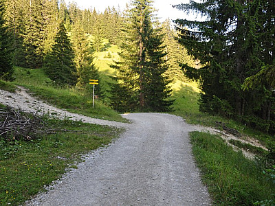 Wir treffen wieder auf den Aufstiegsweg...