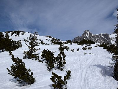 Durch die Latschen geht es nach Norden weiter zur Eiskarlschneid