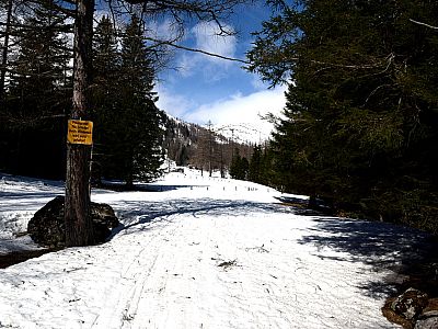 Vor der Schaidlalm wird es nochmal flach, ...