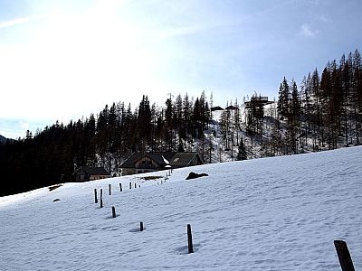 Links von uns die Schaidlalm und die weiter oben liegende Bachlalm