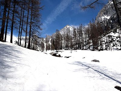 Durch den lichten Wald steigen wir weiter nach Westen auf