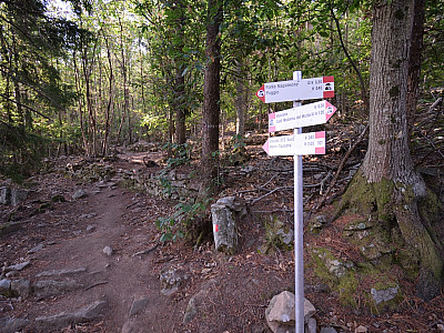 Hinter der Kirche folgen wir weiter dem Weg 101 zum Monte Capanne