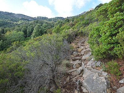 Durch Buschwerk steigen wir weiter auf