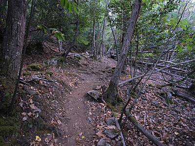 Nach Süden steigen wir...