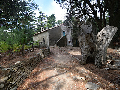 Wir passieren die Kapelle, ignorieren aber diesmal den direkten Abzweig zur Seilbahn