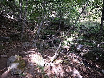 Stattdessen folgen wir dem Weg geradeaus