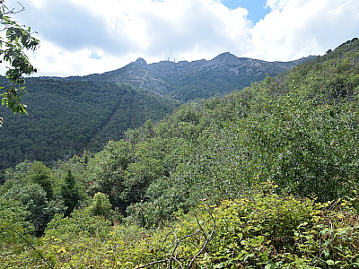 Noch einmal genießen wir den Blick hinaus zum Gipfel des Monte Capanne 