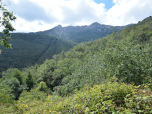 Noch einmal genießen wir den Blick hinaus zum Gipfel des Monte Capanne 