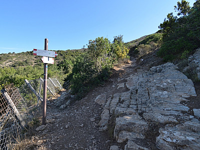 Hier zweigt leicht rechts der Weg zum Gipfel ab