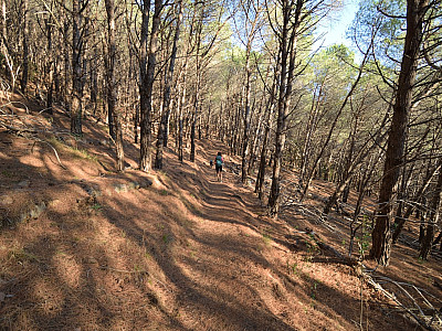In gleichmäßiger Steigung führt uns der Weg ohne Schwierigkeiten bergauf