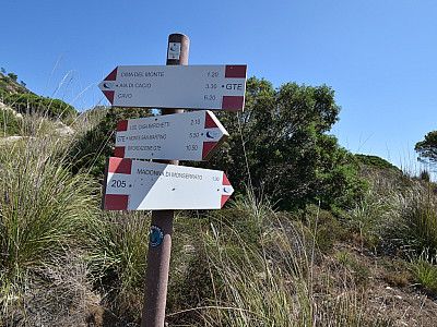 Im Sattel marschieren wir noch ein Stück auf dem Weg 205, ...