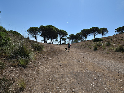 ... den wir auch schon vom Aufstieg kennen