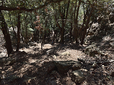 Unangenehm steil führt der mit Laub bedeckte Weg in das Tal
