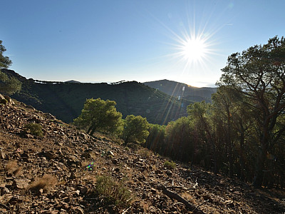 Die Sonne gewinnt immer mehr an Kraft