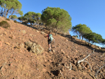 Allmählich lichten sich die Bäume und wir wandern durch rotbraunen Schotter