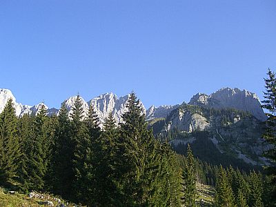Ausblick an der Wochenbrunner Alm