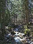 Der Rottauer Bach