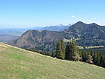 Im Hintergrund zeigen sich der Hochfelln und der Hochgern