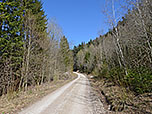 ...oder am Forstweg bleibend...