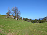 Vom Sattel folgen wir dem Wiesenpfad nach Adersberg