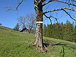 Der Pfad Richtung Adersberg ist gut beschildert