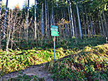 Nach fünf Minuten hat man die Wahl über den Wald- oder den Forstweg aufzusteigen