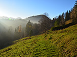Von der Vockalm geht es über einen Karrenweg...