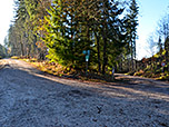 Der Forstweg führt zu einer Kreuzung. Hier geht es links...