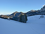 Unter uns erkennen wir die Weißenalm