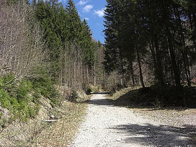 Zuerst über breite Wege, ...