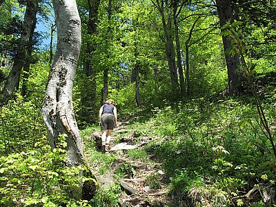 Steiler und steiniger Anstieg...