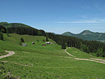 Die Mittereggalm