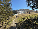 Im Anschluss halten wir auf den Mitterberg zu
