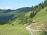 Walchalm und Hansenalm