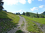 Nach den beiden Almen folgen wir einem Karrenweg bergauf