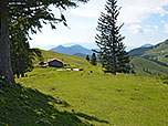 Blick zurück zur Huberalm