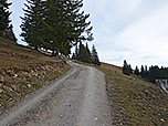 Wir nähern uns der Huberalm...