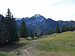 ...und folgen von dort einem Wiesenweg bergab