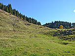 Wir peilen den Wegweiser südöstlich der Wagneralm an