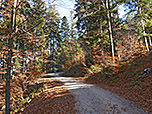 Über einen breiten Forstweg...