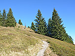 ...und wir wandern die Gipfelflanke des Feichtecks hinauf