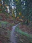 ...durch schattigen Bergwald bergab...