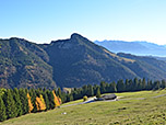 Blick über die Feichteckalm zum Spitzstein