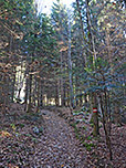 ...schlagen wir den direkten Weg zur Wagneralm ein
