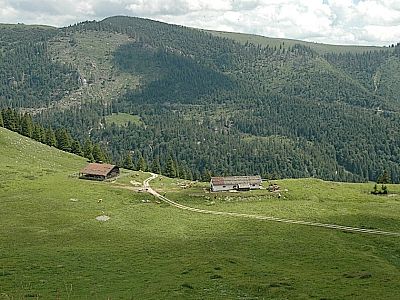 Bölcher Alm